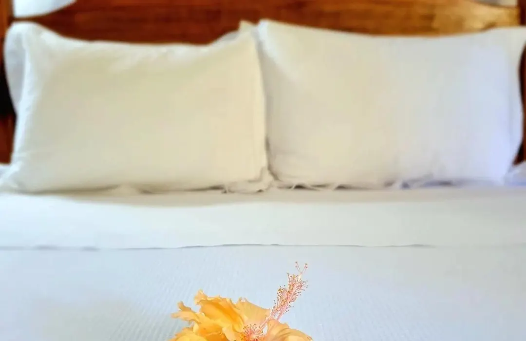 Pousada Villages Boutique Hotel - 150m da Praia da Laje-1
